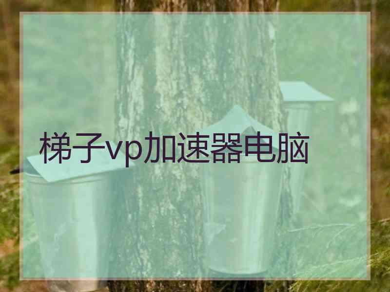 梯子vp加速器电脑