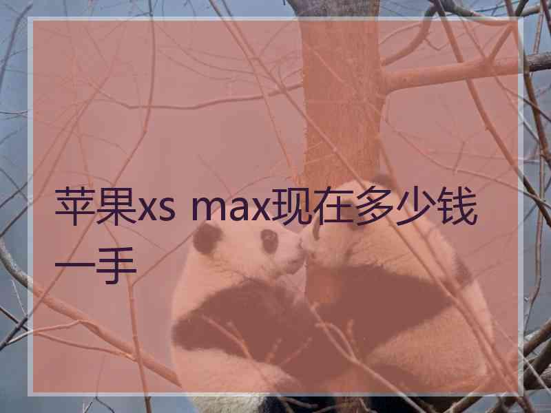 苹果xs max现在多少钱一手