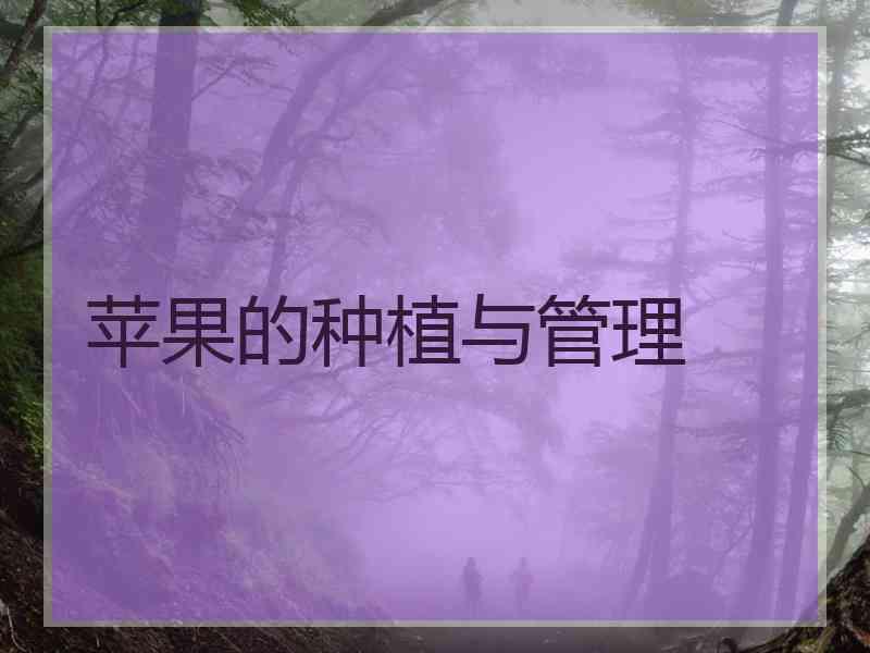 苹果的种植与管理