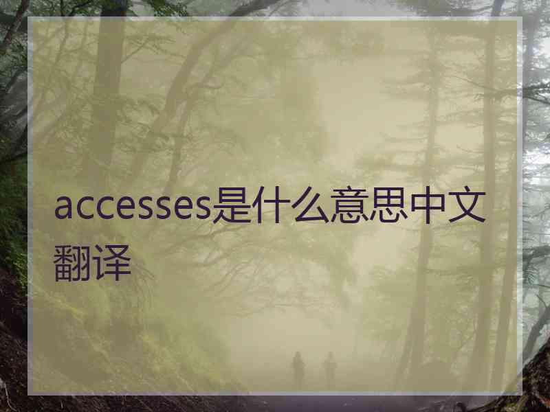 accesses是什么意思中文翻译