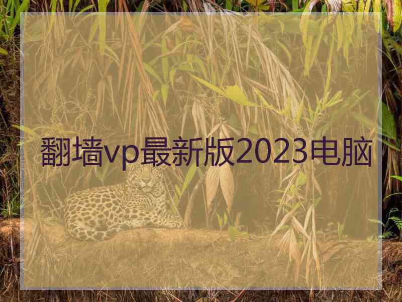 翻墙vp最新版2023电脑