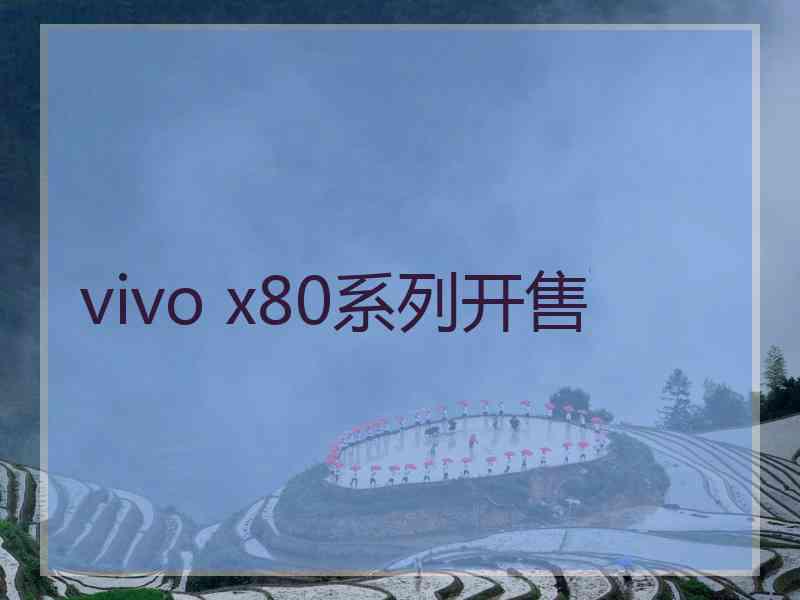 vivo x80系列开售