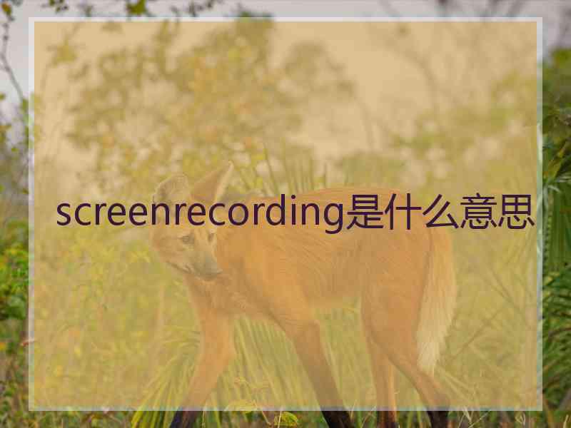 screenrecording是什么意思