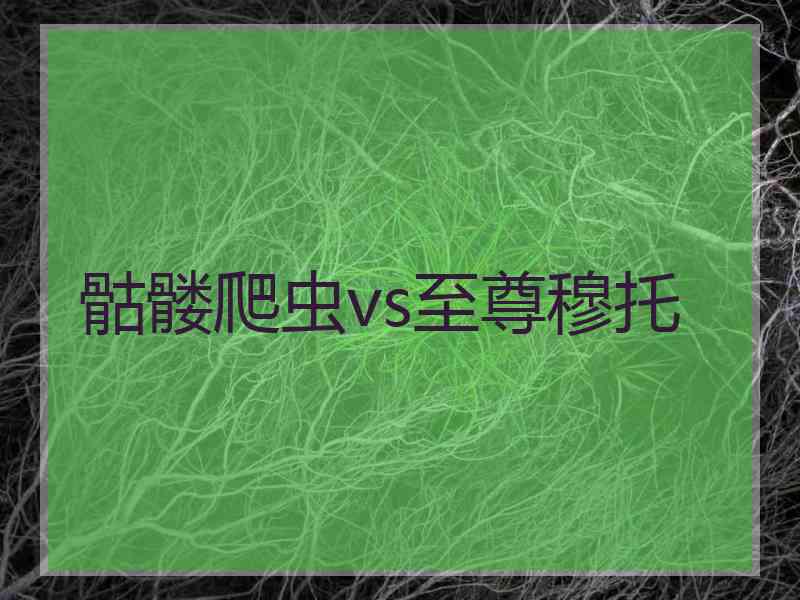 骷髅爬虫vs至尊穆托