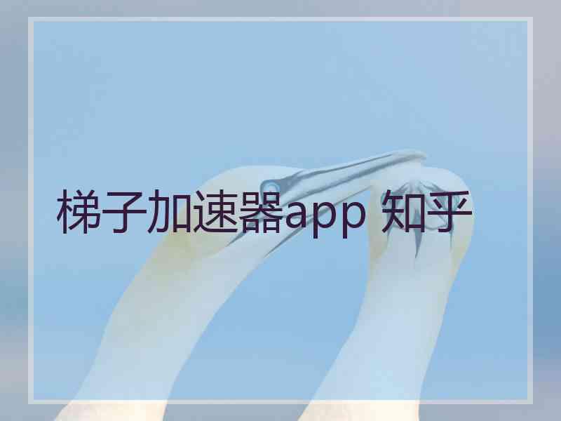 梯子加速器app 知乎