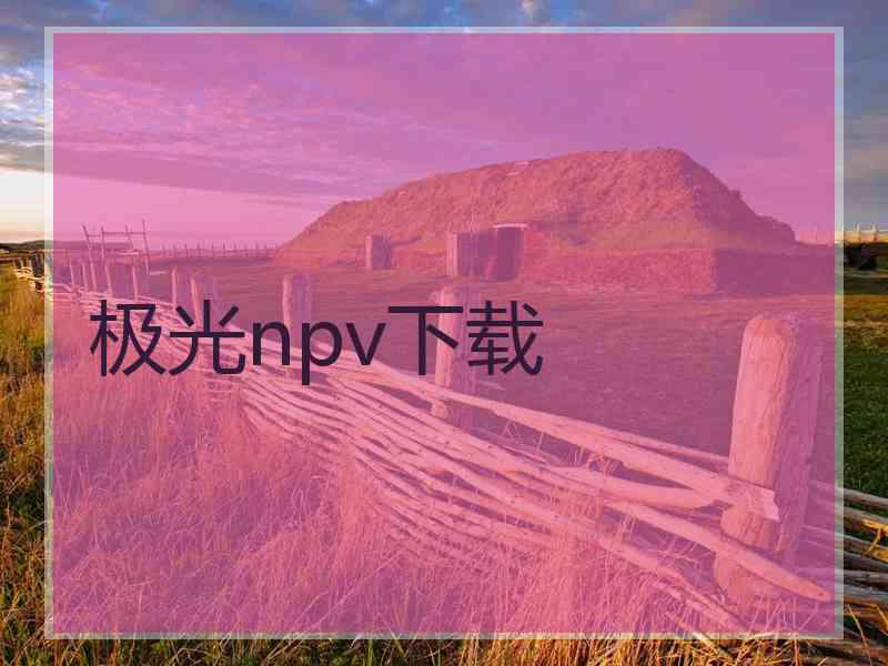 极光npv下载