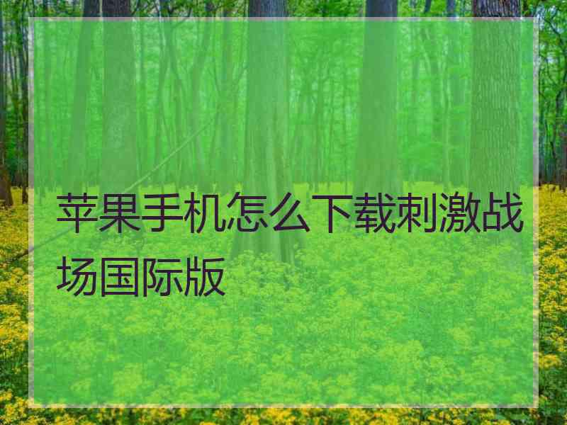 苹果手机怎么下载刺激战场国际版