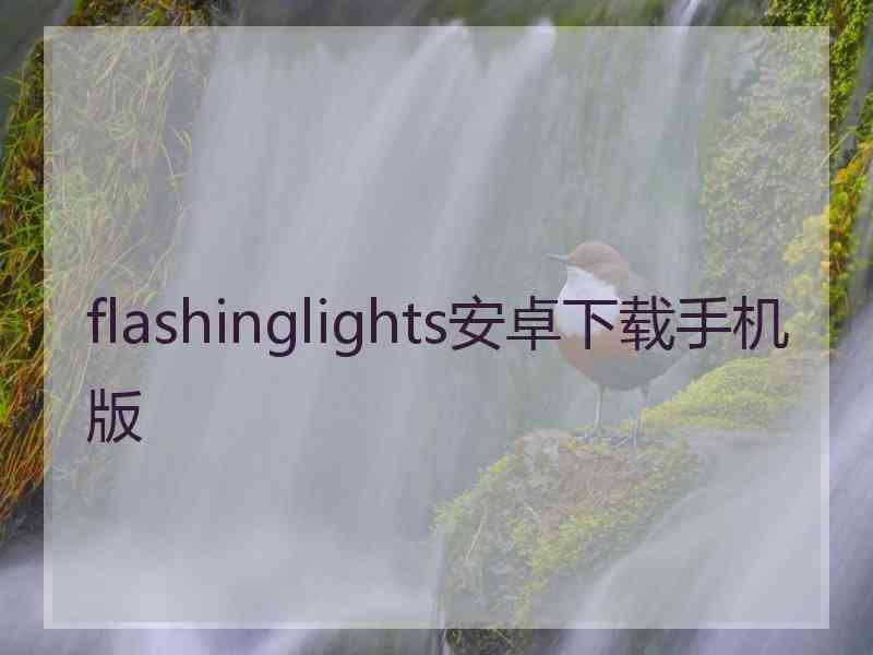 flashinglights安卓下载手机版