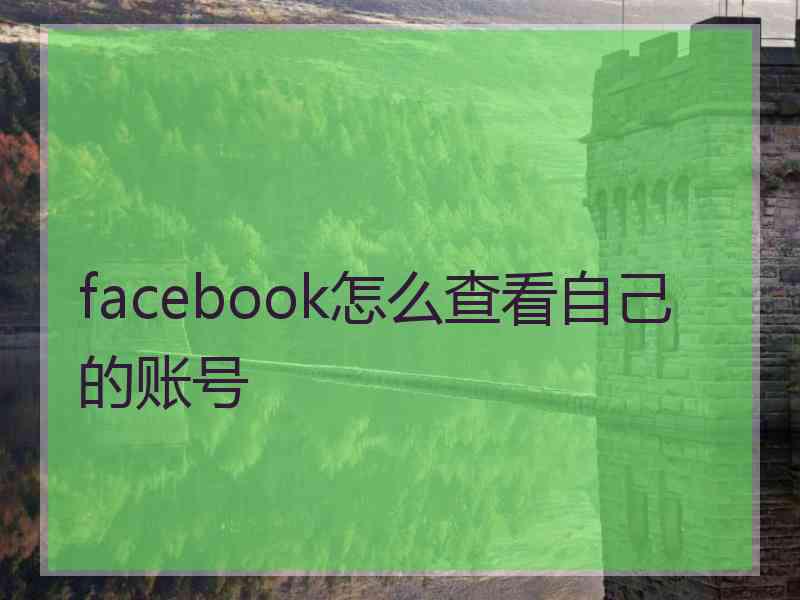 facebook怎么查看自己的账号