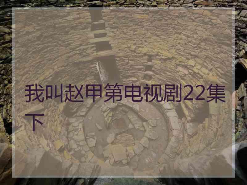 我叫赵甲第电视剧22集下