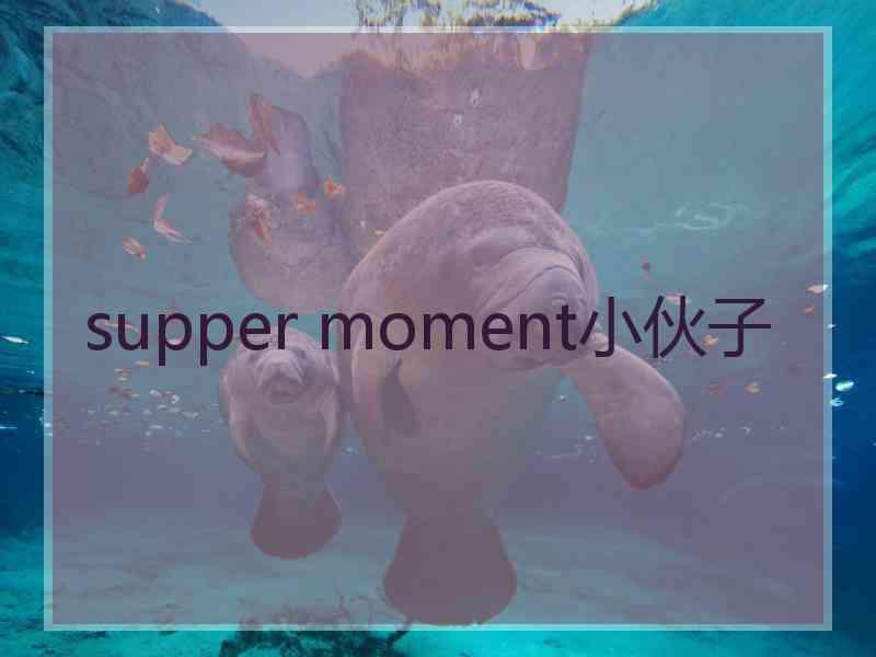 supper moment小伙子