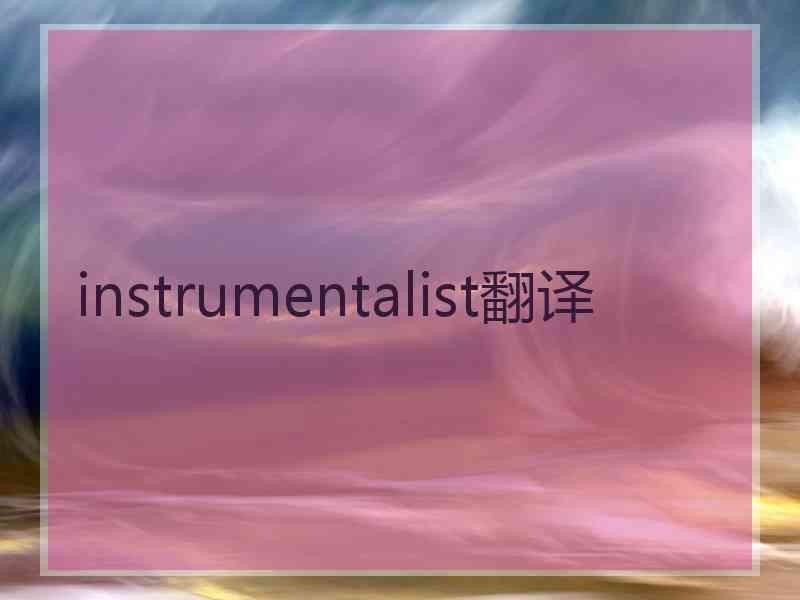 instrumentalist翻译