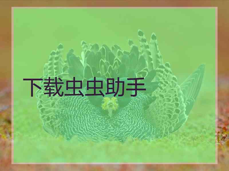 下载虫虫助手