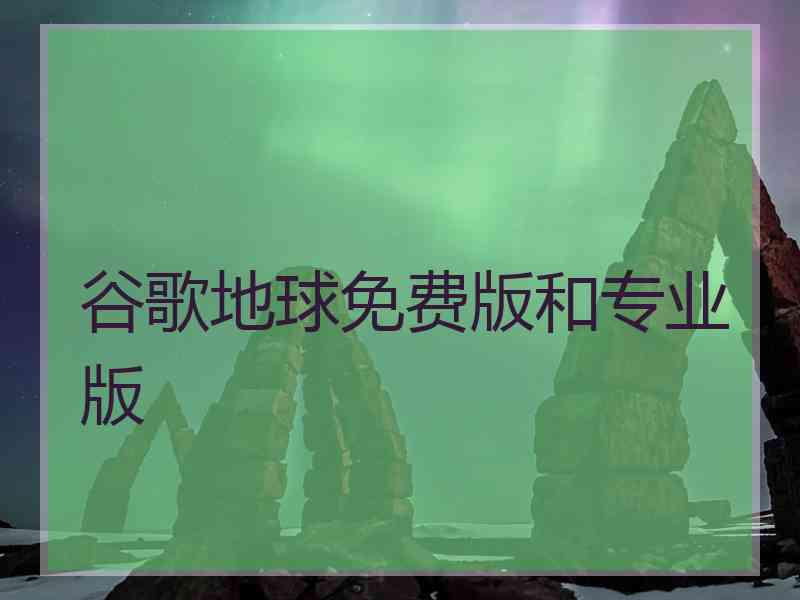 谷歌地球免费版和专业版