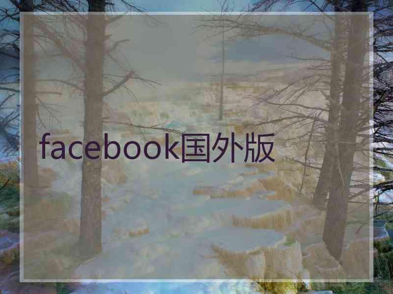 facebook国外版