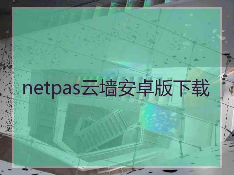 netpas云墙安卓版下载