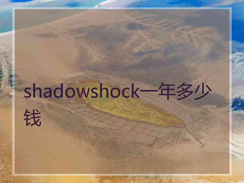 shadowshock一年多少钱