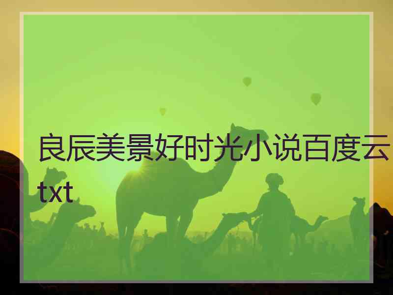 良辰美景好时光小说百度云txt