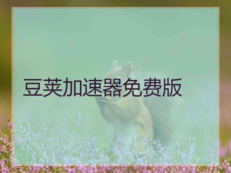 豆荚加速器免费版