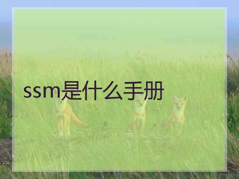 ssm是什么手册