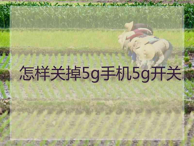 怎样关掉5g手机5g开关