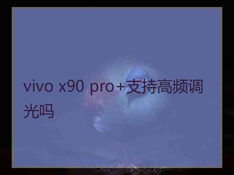 vivo x90 pro+支持高频调光吗