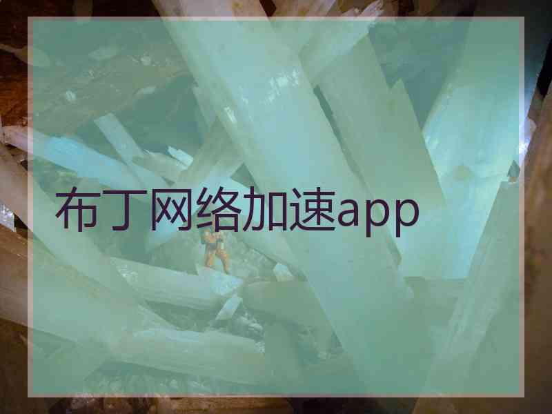 布丁网络加速app