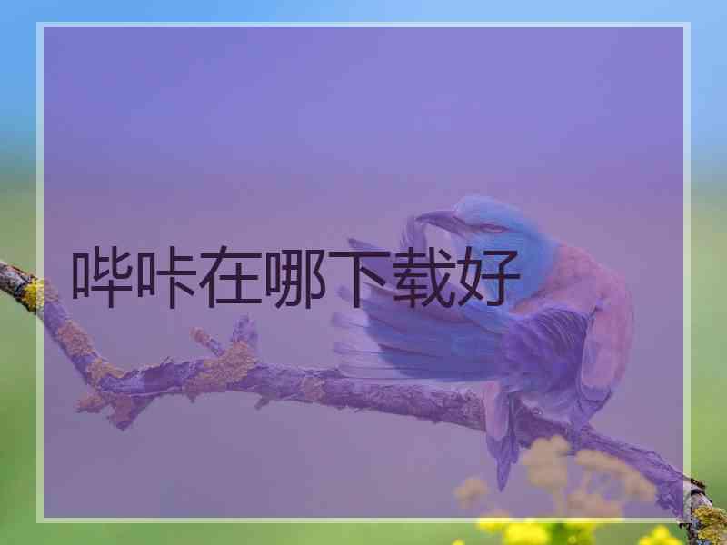 哔咔在哪下载好