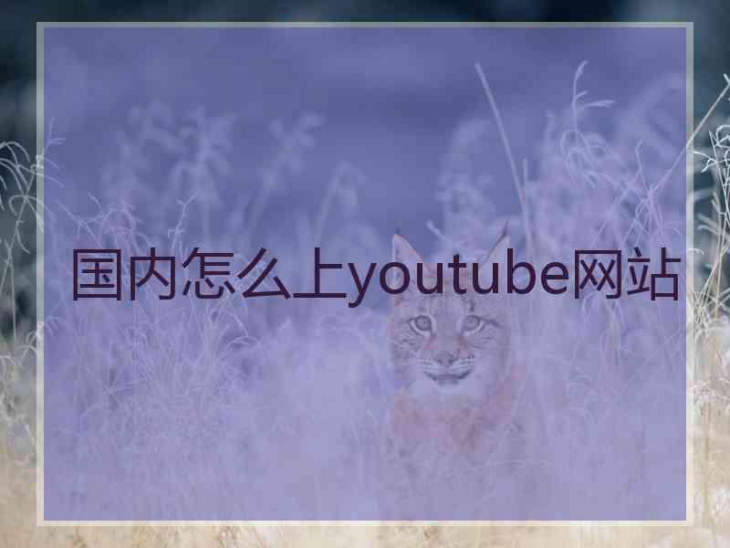 国内怎么上youtube网站