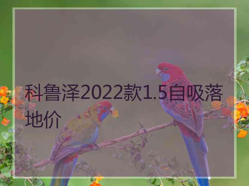 科鲁泽2022款1.5自吸落地价