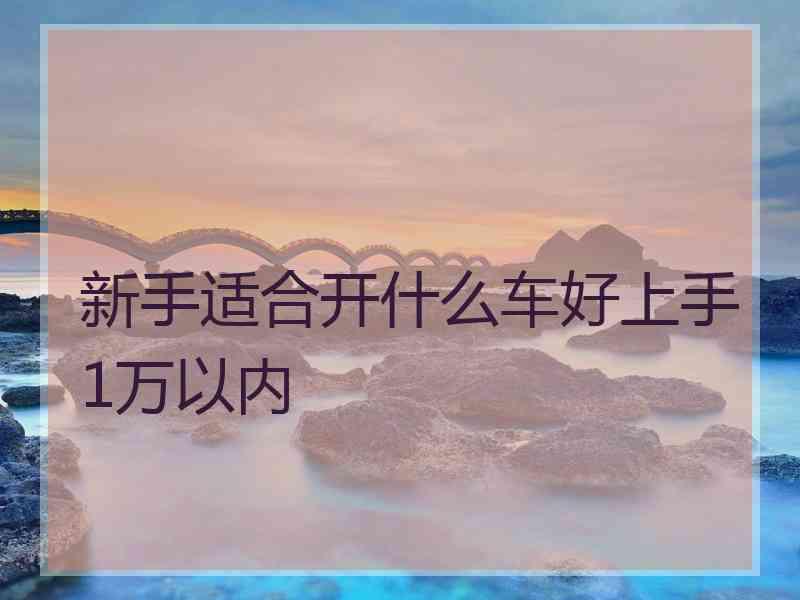 新手适合开什么车好上手1万以内