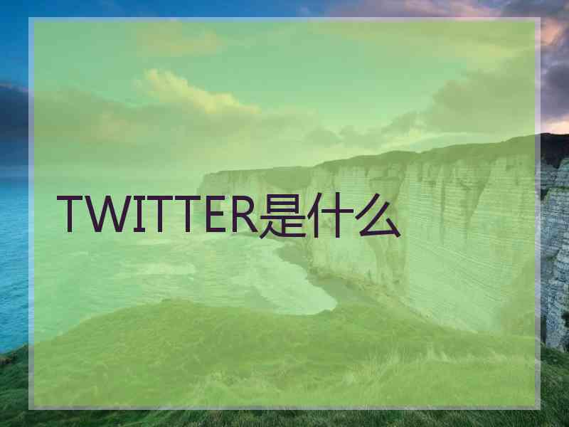 TWITTER是什么