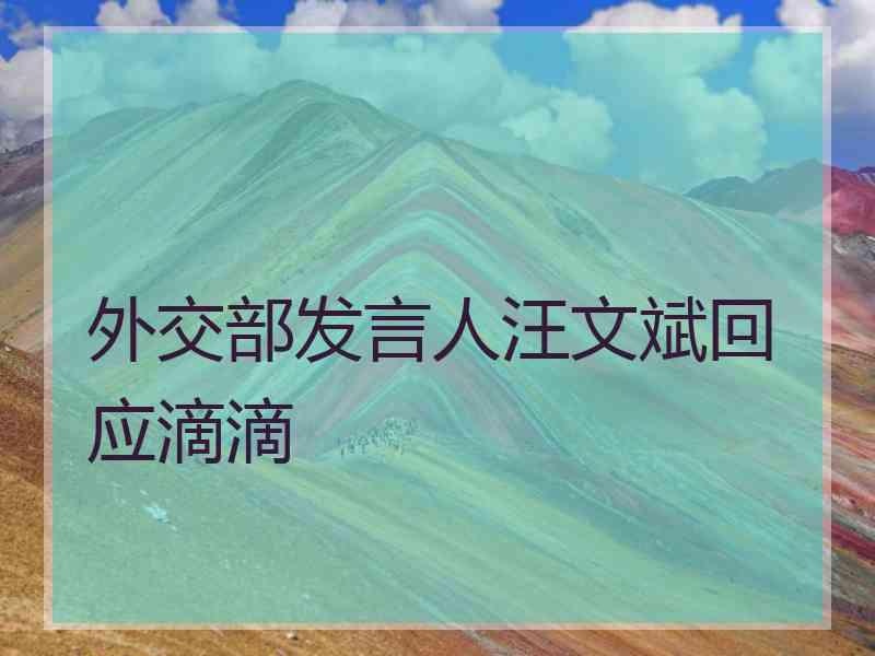 外交部发言人汪文斌回应滴滴