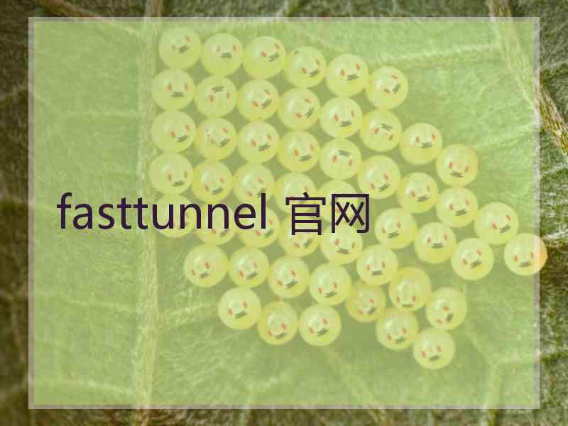 fasttunnel 官网