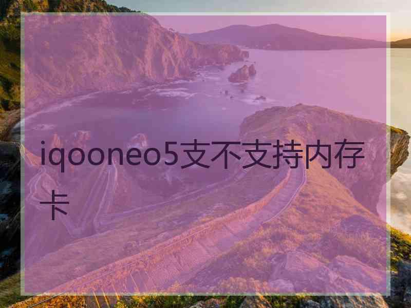 iqooneo5支不支持内存卡