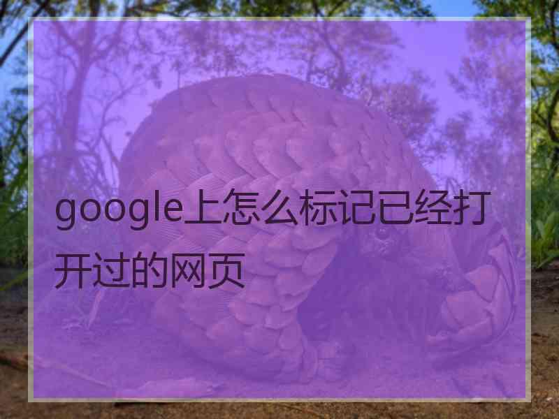 google上怎么标记已经打开过的网页