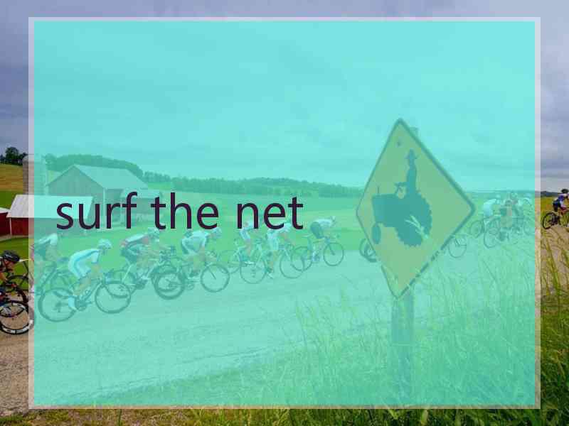 surf the net