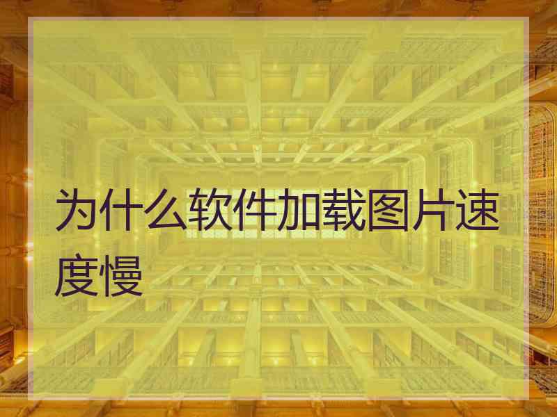 为什么软件加载图片速度慢