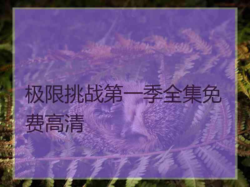 极限挑战第一季全集免费高清