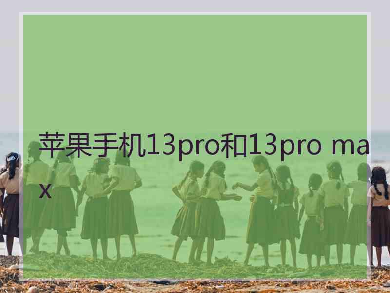 苹果手机13pro和13pro max