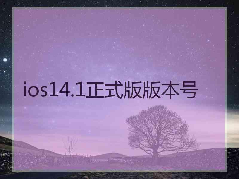 ios14.1正式版版本号