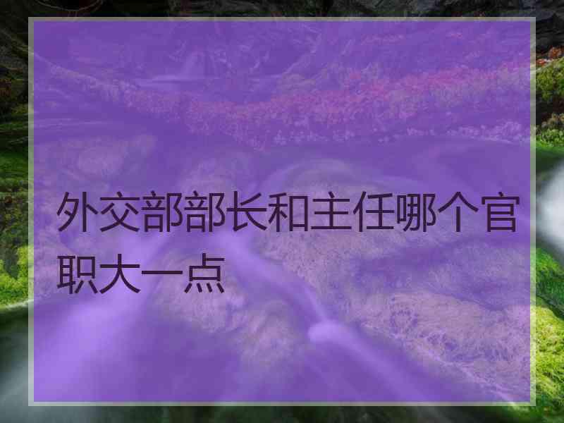 外交部部长和主任哪个官职大一点