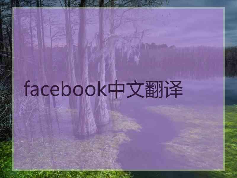 facebook中文翻译