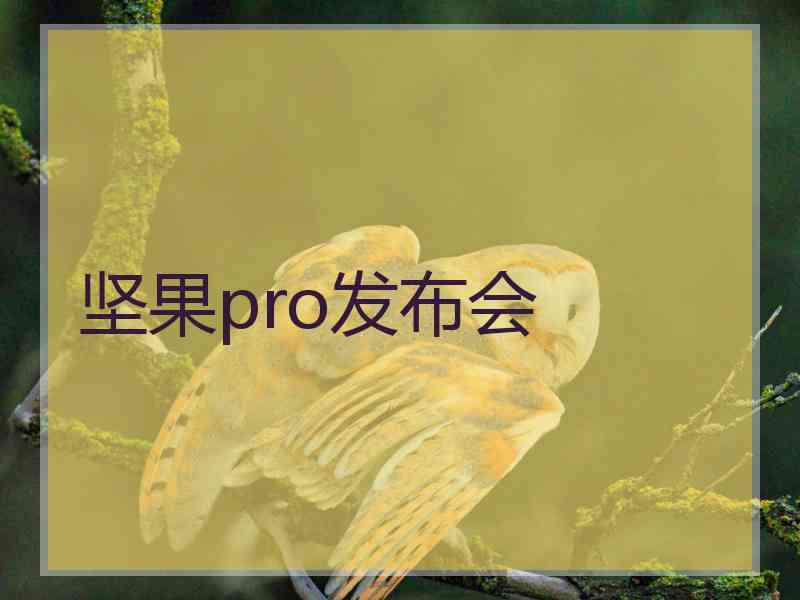 坚果pro发布会