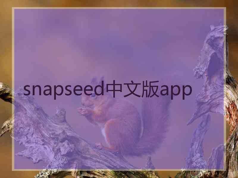 snapseed中文版app