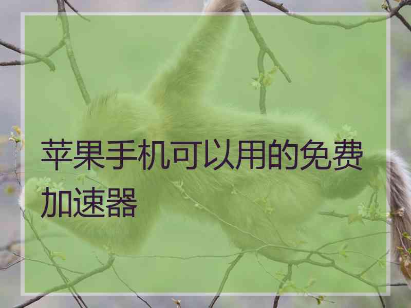 苹果手机可以用的免费加速器