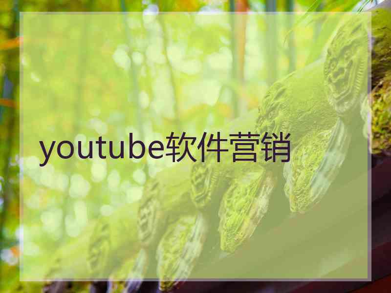 youtube软件营销