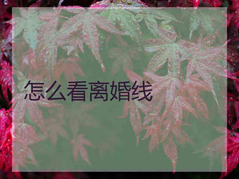 怎么看离婚线