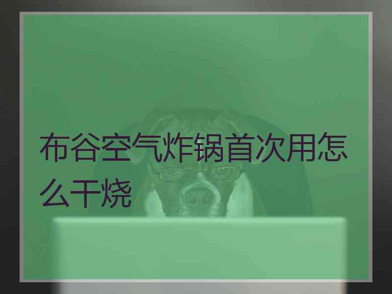 布谷空气炸锅首次用怎么干烧