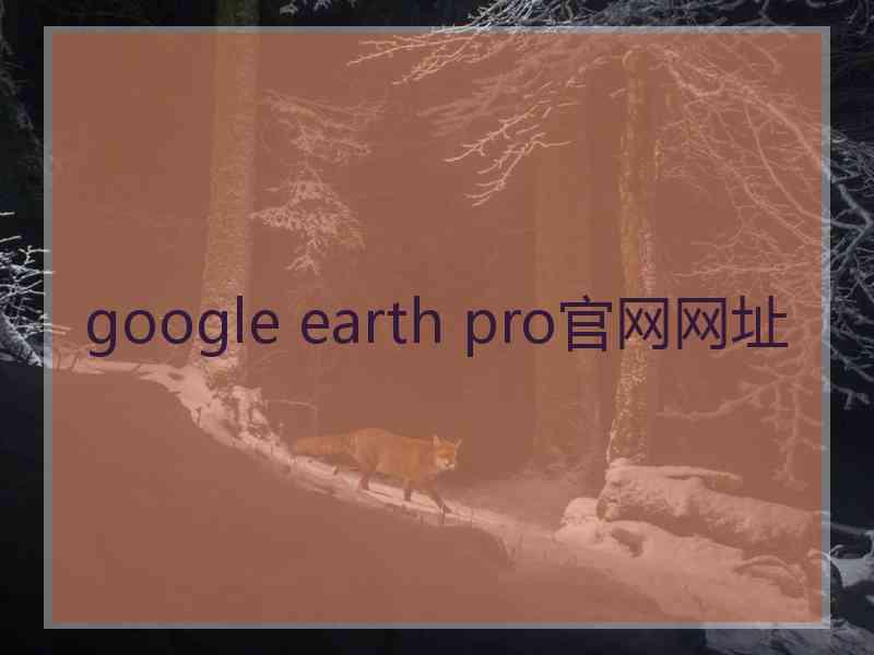 google earth pro官网网址